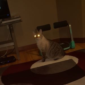 Meet your Posher, Robin